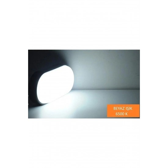 ECONA 20 Watt Beyaz Işık Siyah Kasa Balkon Lambası Teras Lambası Oval Duvar Lambası Banyo Lambası Tavan Lambası ECN-5015