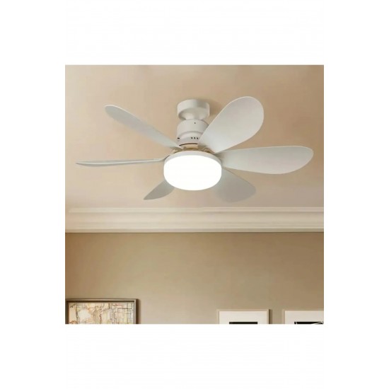 Cata Lodos Fan Led 62w Kumandalı Işıklı Vantilatör Ct-1154