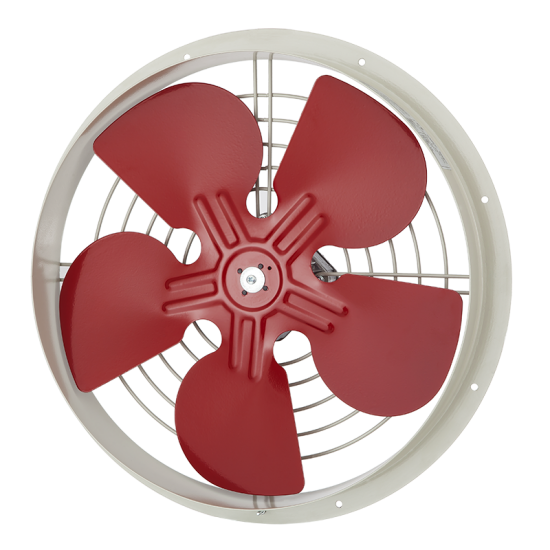 Fanexfan Pek-200 Duvar Tipi Aksiyel Aspiratör